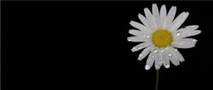 恒指如何開戶(恒指開戶流程)-添財網