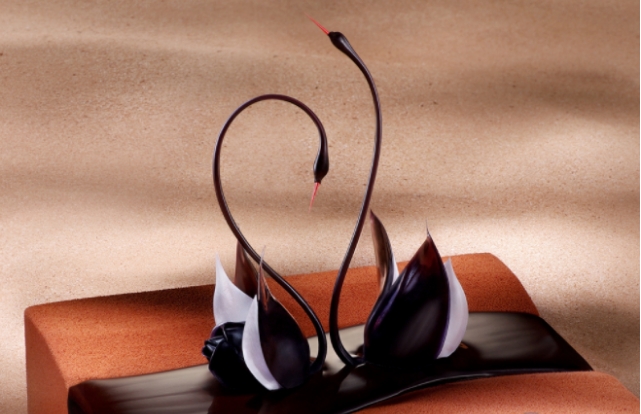 黑天鵝是什么意思(天鵝是黑的)-添財(cái)網(wǎng)