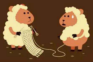 薅羊毛是什么意思(羊毛是什么意思啊)-添財網