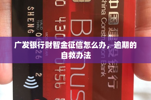 廣發財智金(廣發財智金還款技巧)-添財網