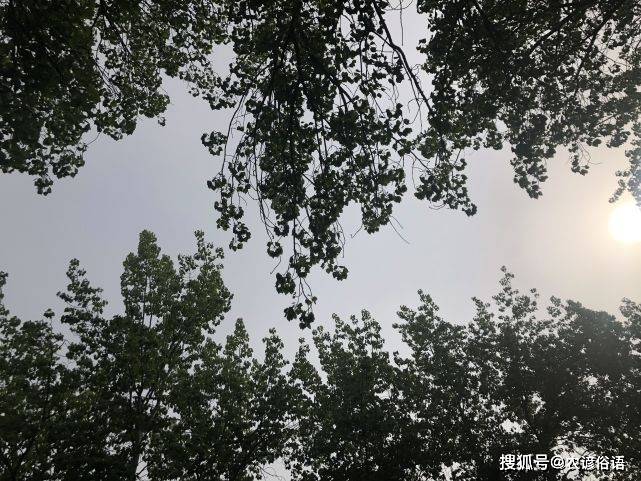 孤女是什么意思(孤是啥意思)-添財網