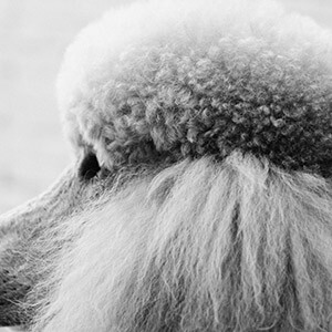 股權質押是好是壞(質押股權是利好還是利空)-添財網