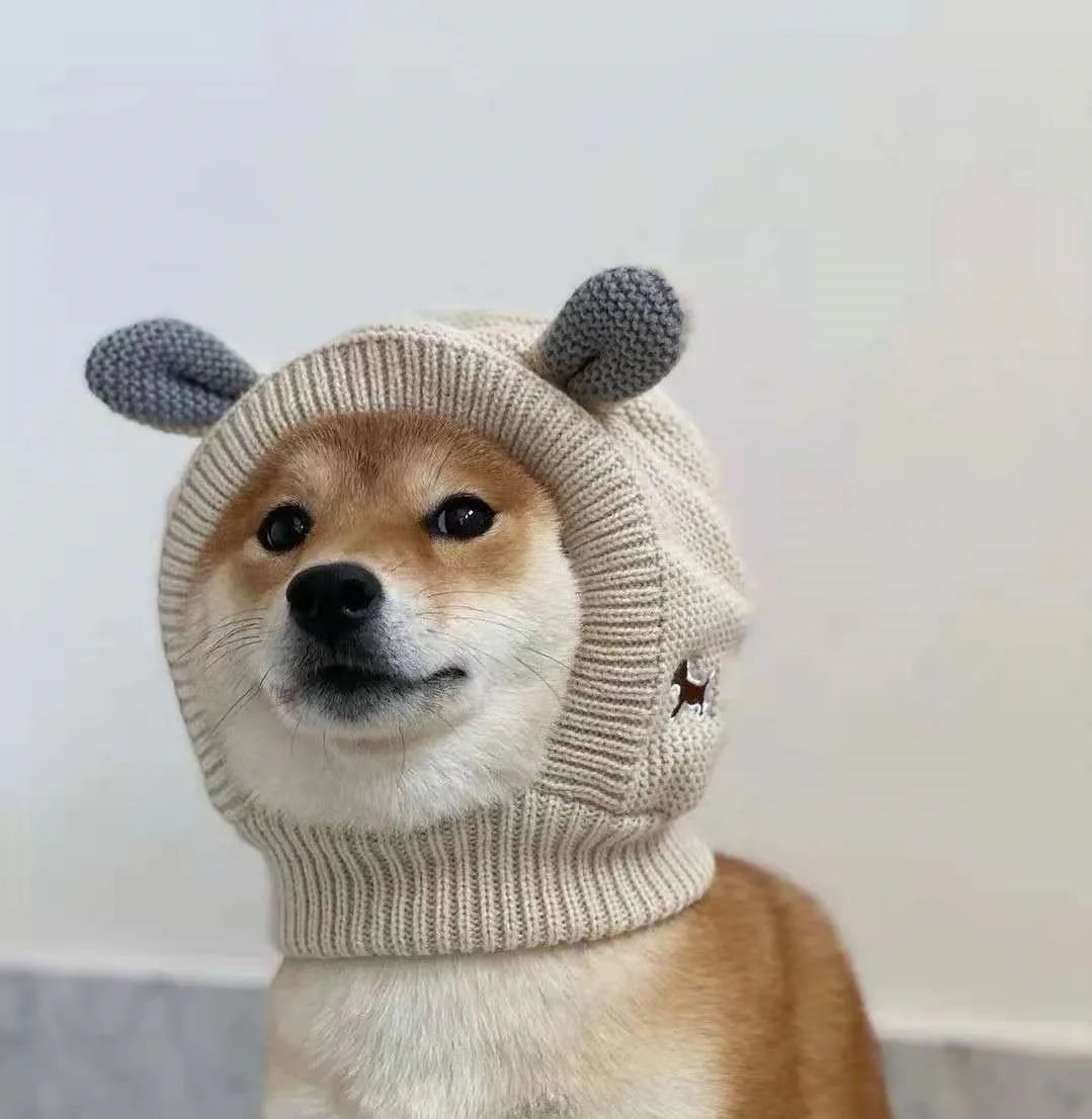 豆一和豆二區(qū)別(意式咖啡豆和美式咖啡豆區(qū)別)-添財網(wǎng)