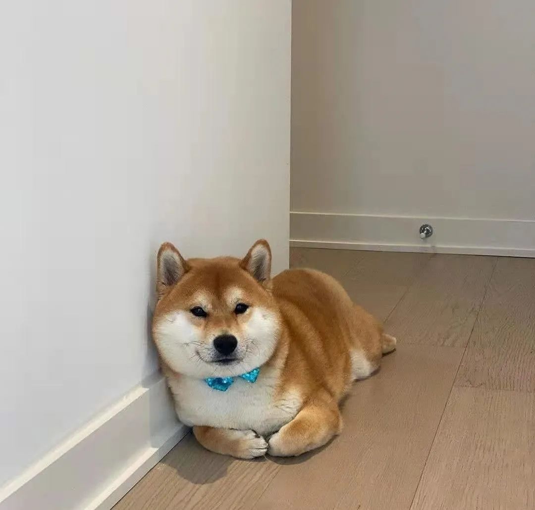 豆一和豆二區(qū)別(意式咖啡豆和美式咖啡豆區(qū)別)-添財網(wǎng)