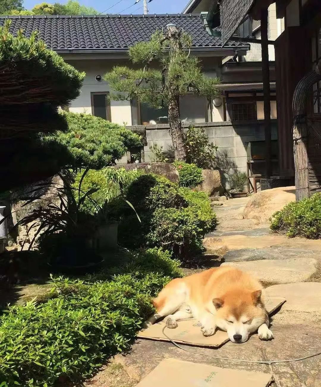 豆一和豆二區(qū)別(意式咖啡豆和美式咖啡豆區(qū)別)-添財網(wǎng)