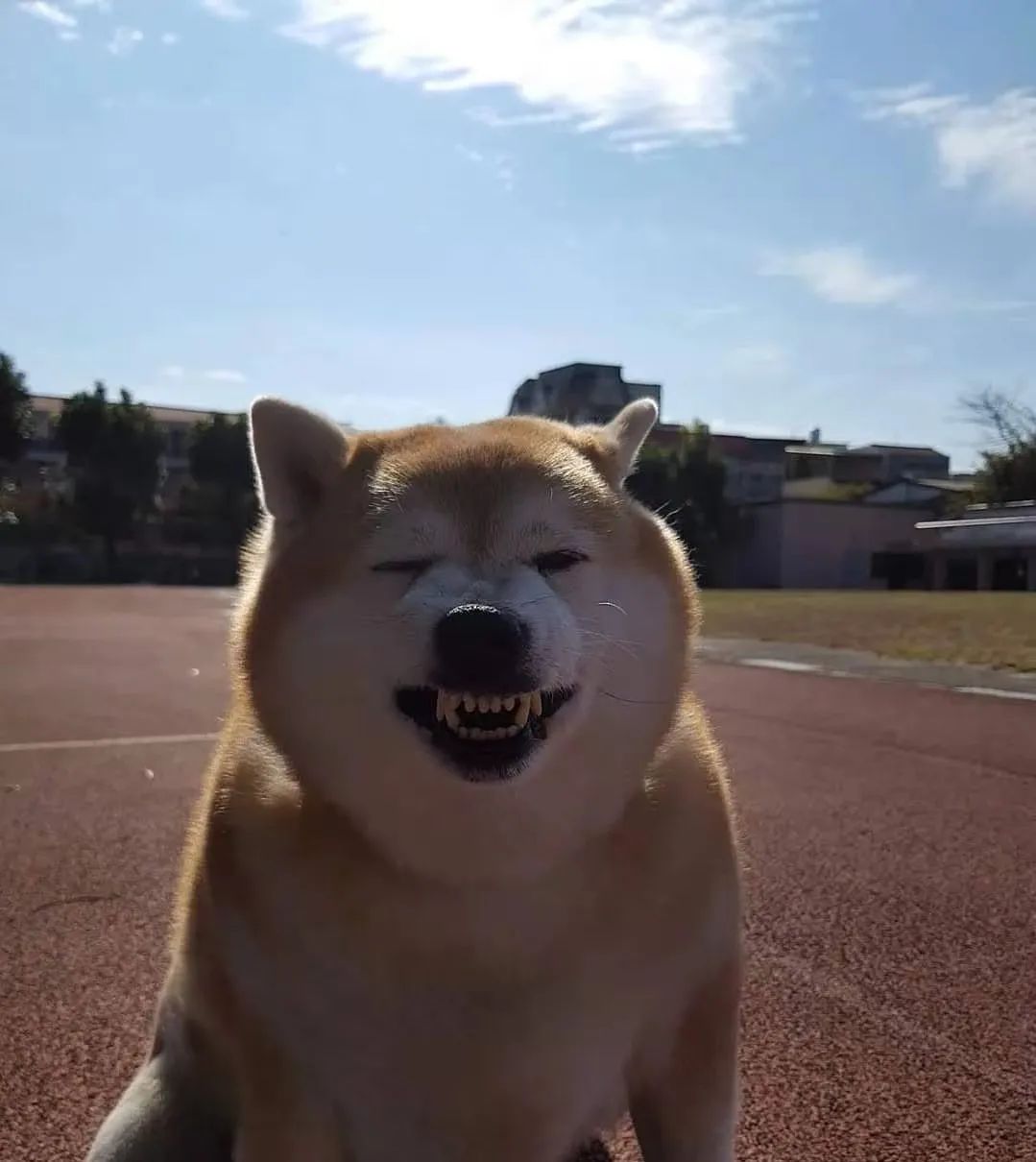 豆一和豆二區(qū)別(意式咖啡豆和美式咖啡豆區(qū)別)-添財網(wǎng)