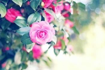 第幾年退保損失最小(退保損失)-添財網(wǎng)