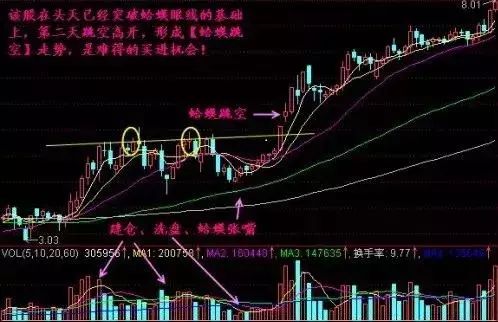單陽(yáng)不破(單陽(yáng)不破)-添財(cái)網(wǎng)