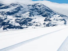 車險(xiǎn)每年遞減多少(車險(xiǎn)遞減每年都會(huì)漲嗎)-添財(cái)網(wǎng)