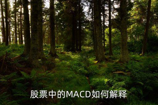 macd是什么意思(奇妙macd是什么意思)-添財網(wǎng)