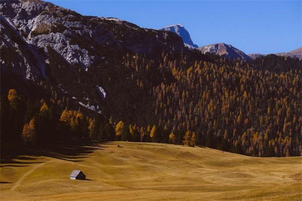 紫金車險怎么樣(紫金車保險怎么樣)-添財網