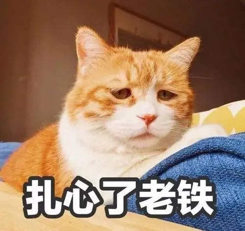 中郵錢包(郵錢包是什么)-添財(cái)網(wǎng)