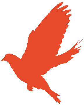 征信報告圖片(個人征信報告圖片)-添財網(wǎng)