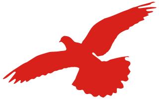 征信報告圖片(個人征信報告圖片)-添財網(wǎng)