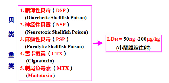 雪卡毒素(雪卡毒素的中毒癥狀)-添財網