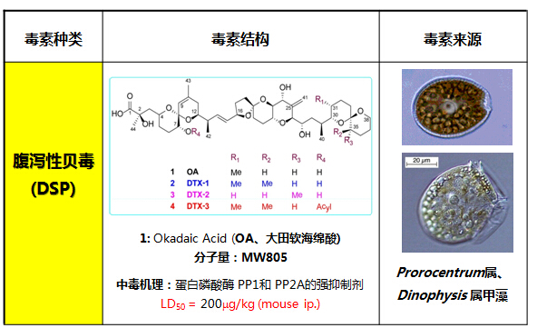 雪卡毒素(雪卡毒素的中毒癥狀)-添財網