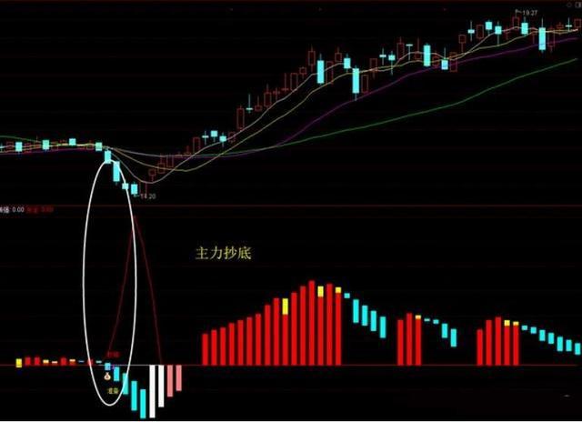 熊市什么意思(熊市征兆)-添財網