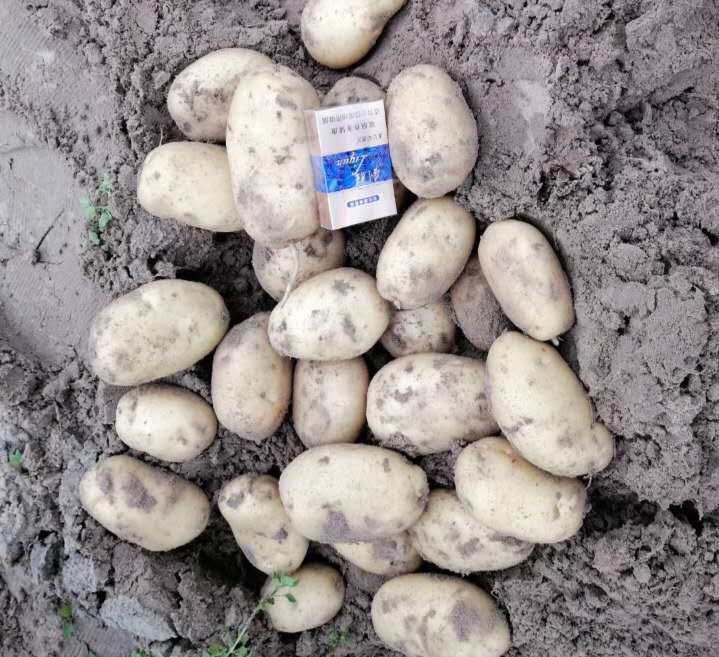 壓車費(車費壓力軸承怎么回事)-添財網(wǎng)