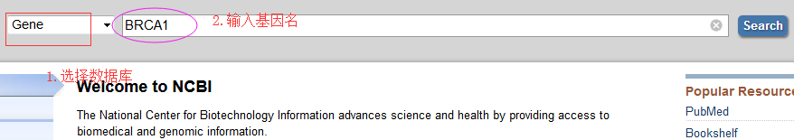 外顯子名詞解釋(名詞解釋外顯子與內含子)-添財網
