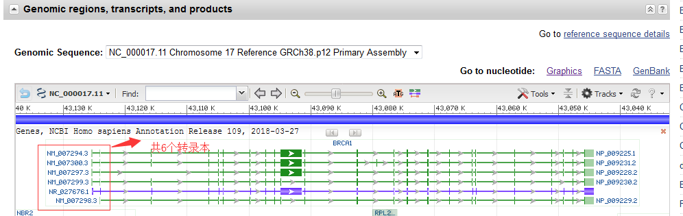 外顯子名詞解釋(名詞解釋外顯子與內含子)-添財網