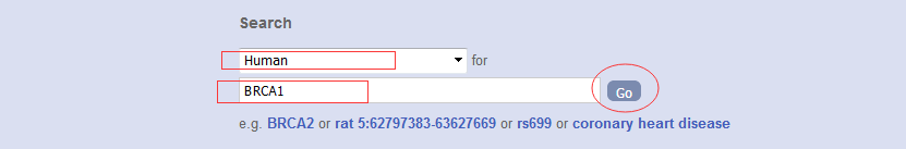 外顯子名詞解釋(名詞解釋外顯子與內含子)-添財網