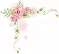 王小姐是賣鞋的(王小姐賣鞋兩雙鞋答案)-添財網(wǎng)