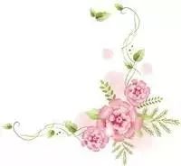 王小姐是賣鞋的(王小姐賣鞋兩雙鞋答案)-添財網(wǎng)