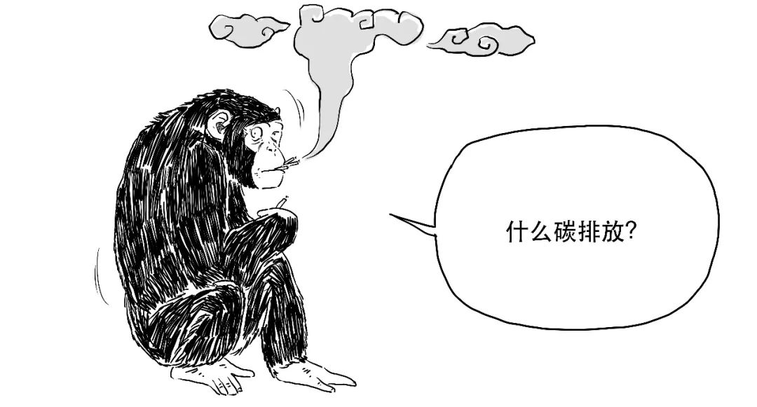 碳中和是什么(碳中和的中和)-添財網