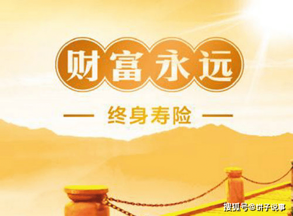 什么是定期壽險(定期壽險是什么意思啊)-添財網