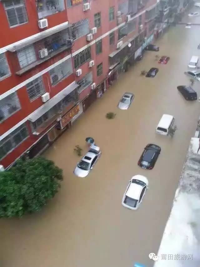 什么叫車損險(保險車損啥意思)-添財網