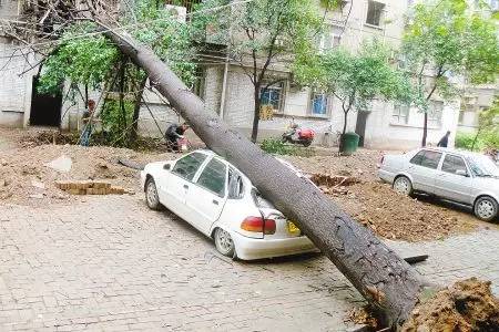 什么叫車損險(保險車損啥意思)-添財網