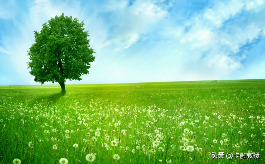 商友卡(商友卡)-添財(cái)網(wǎng)