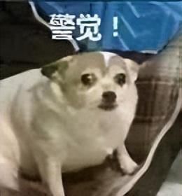 如何關(guān)閉京東白條(京東白條關(guān)閉流程)-添財(cái)網(wǎng)