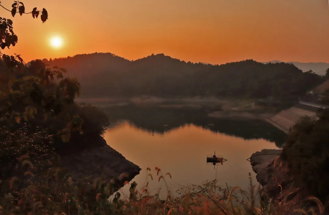 仁瑞(仁瑞生物科技有限公司)-添財網