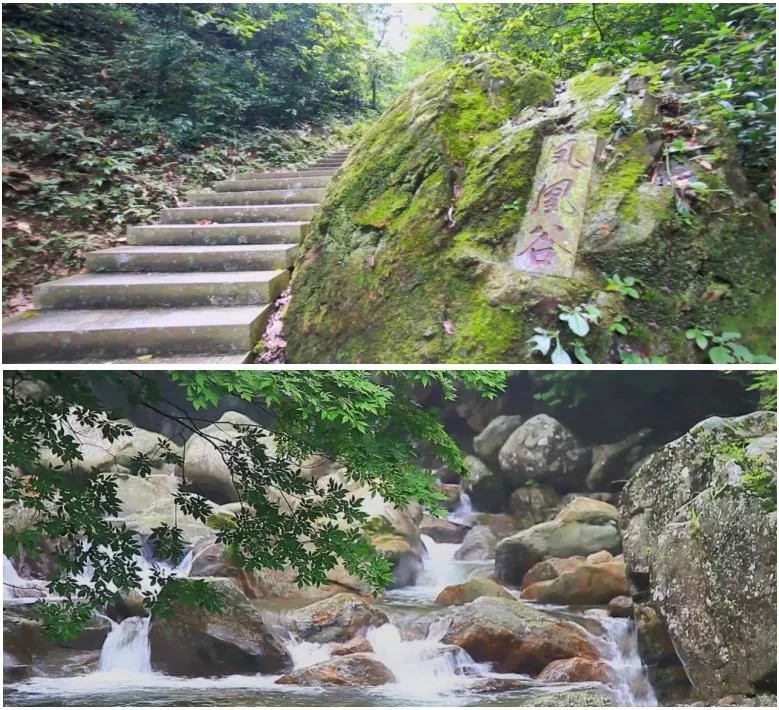 仁瑞(仁瑞生物科技有限公司)-添財網