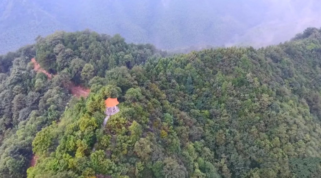 仁瑞(仁瑞生物科技有限公司)-添財網