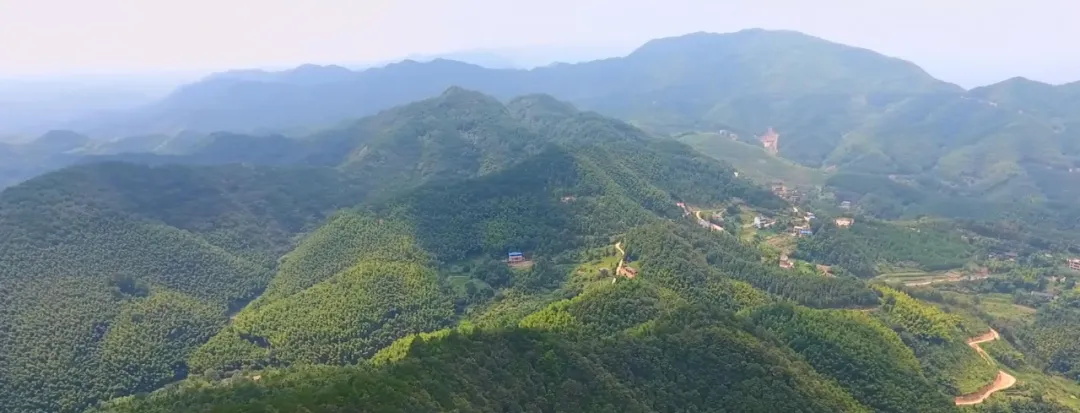 仁瑞(仁瑞生物科技有限公司)-添財網