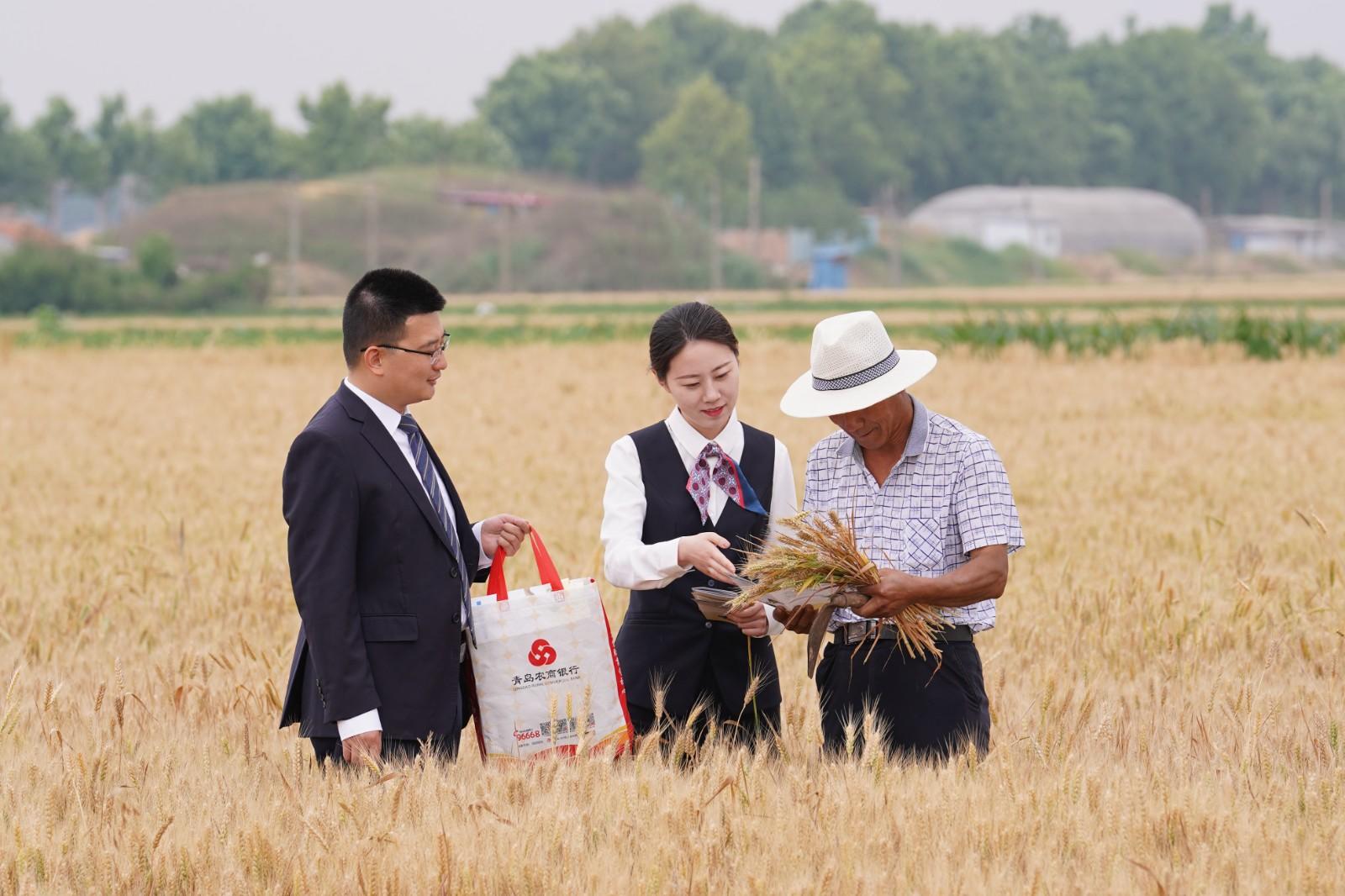 青島農商銀行官網(青島農商銀行官方網站登錄)-添財網