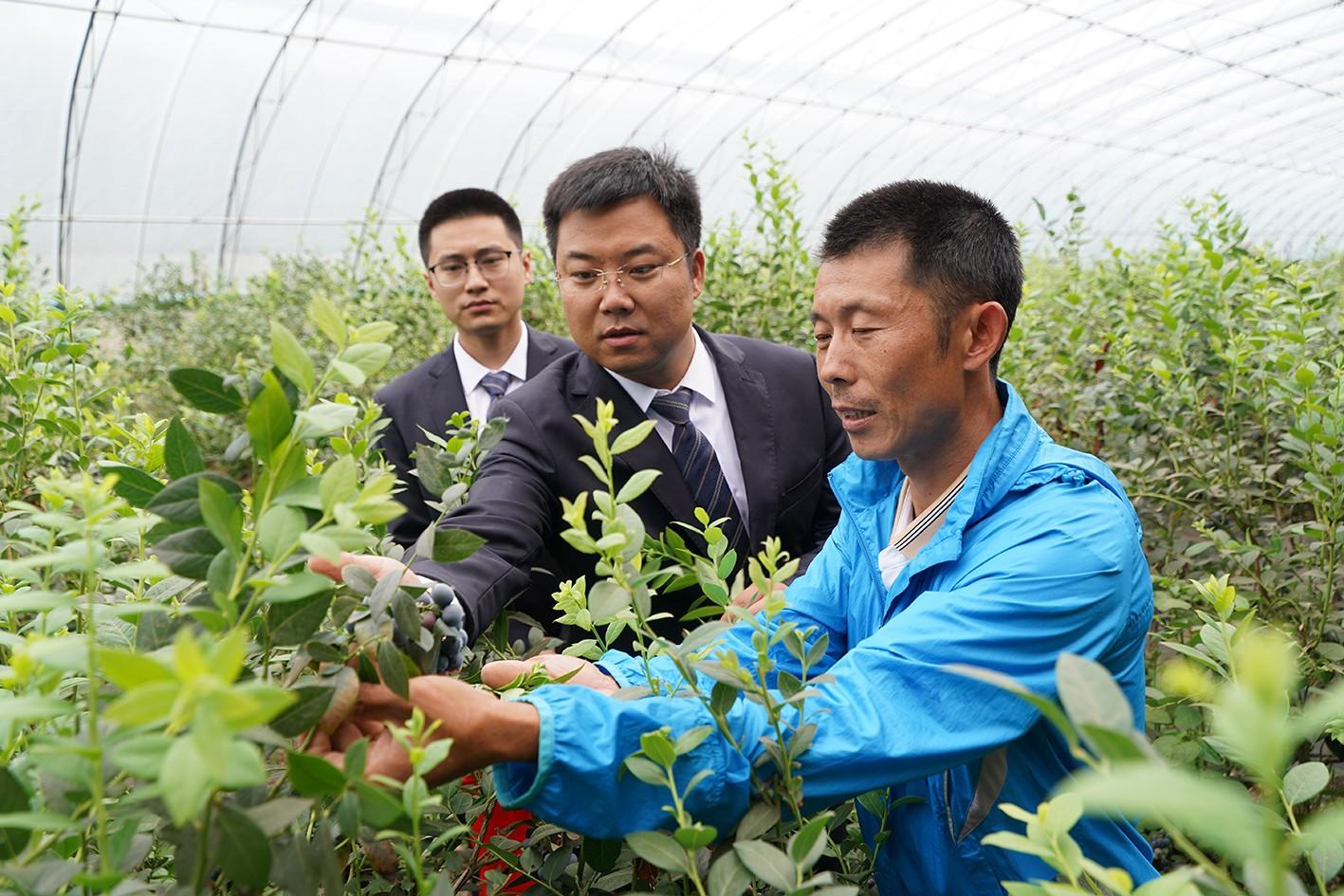 青島農商銀行官網(青島農商銀行官方網站登錄)-添財網