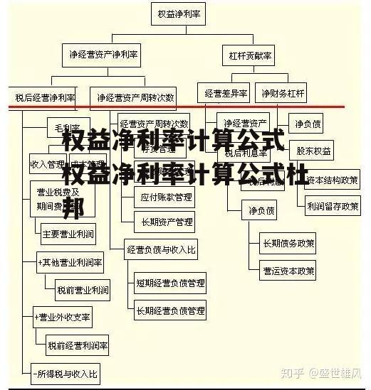 權益凈利率計算公式(權益公式凈利率計算方法)-添財網
