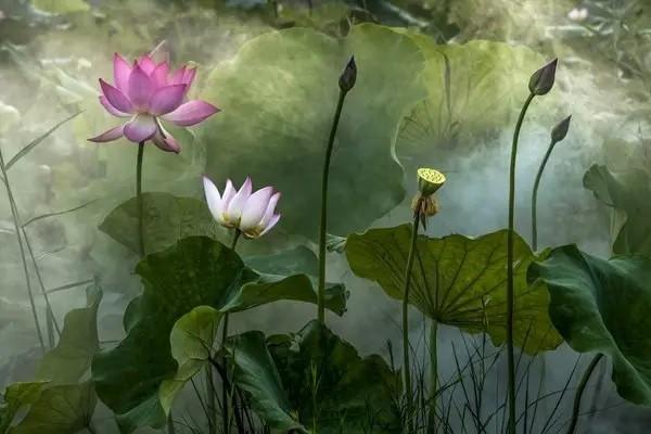 企業(yè)年金如何提取(提取企業(yè)年金怎么扣稅)-添財(cái)網(wǎng)