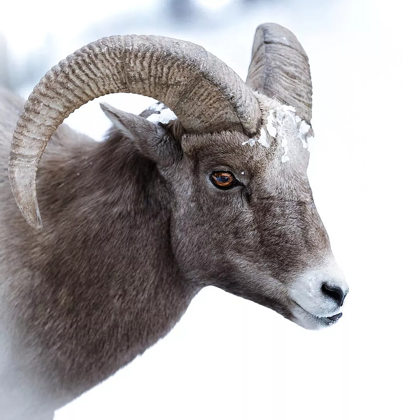 七二法則(法則之力)-添財網