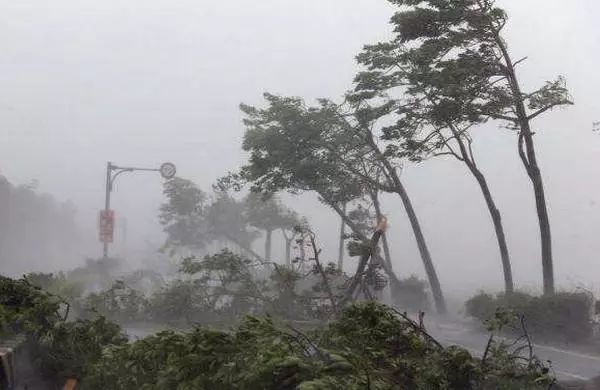 平安保險e行銷登陸(平安行銷支持管理系統登錄)-添財網