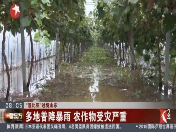 平安保險e行銷登陸(平安行銷支持管理系統登錄)-添財網