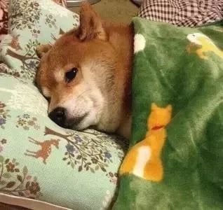 派息是什么意思(派息是好是壞)-添財(cái)網(wǎng)