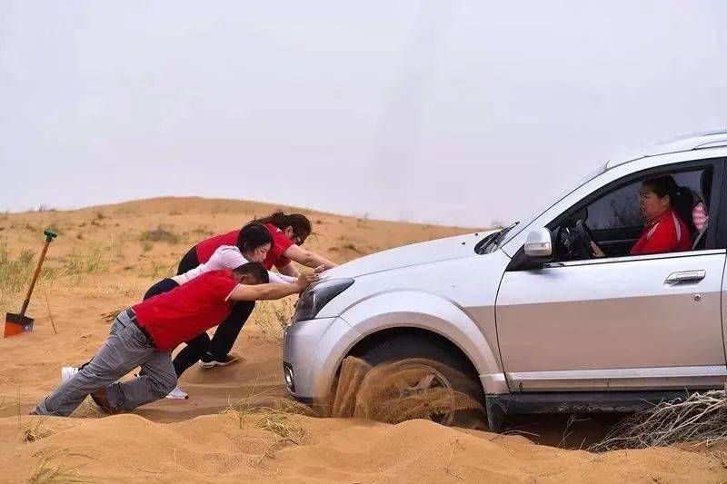 內蒙古農信電話(內蒙古農信電話號)-添財網