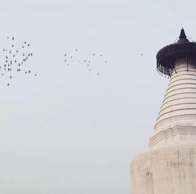 密檐式塔(密檐式塔和樓閣式塔)-添財網