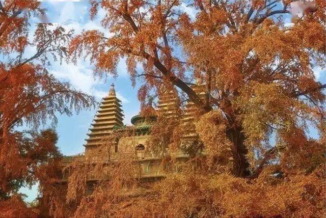 密檐式塔(密檐式塔和樓閣式塔)-添財網