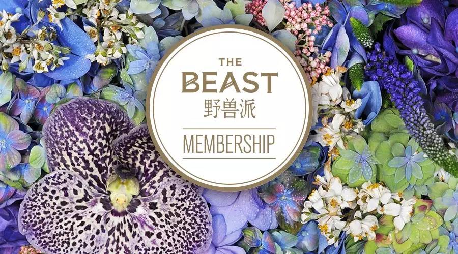 螞蟻會(huì)員等級(jí)(螞蟻會(huì)員等級(jí)在哪里看)-添財(cái)網(wǎng)