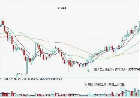 滿倉什么意思(滿倉打一個數字)-添財網